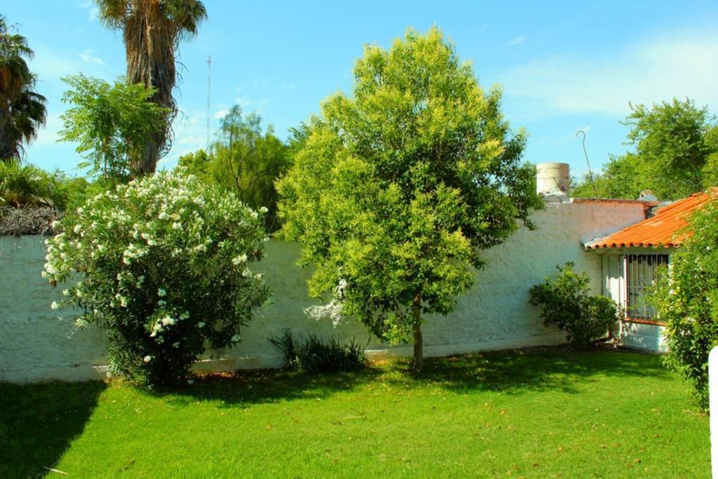 Big Beautiful House With Garden In 5Ta Seccion Neighbourhood Villa Mendoza Ngoại thất bức ảnh